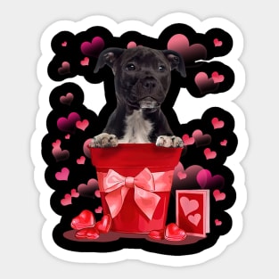 American Staffordshire Terrier In Red Pot Happy Valentine Sticker